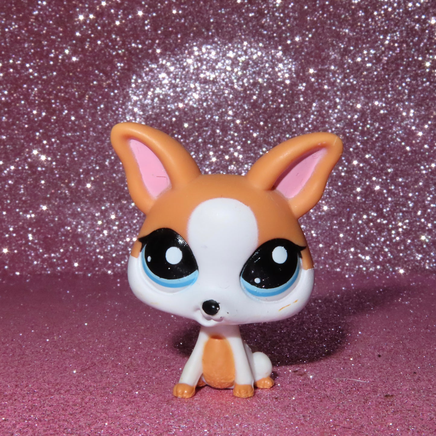 AUTHENTIC LPS CHIHUAHUA EURO EXCLUSIVE