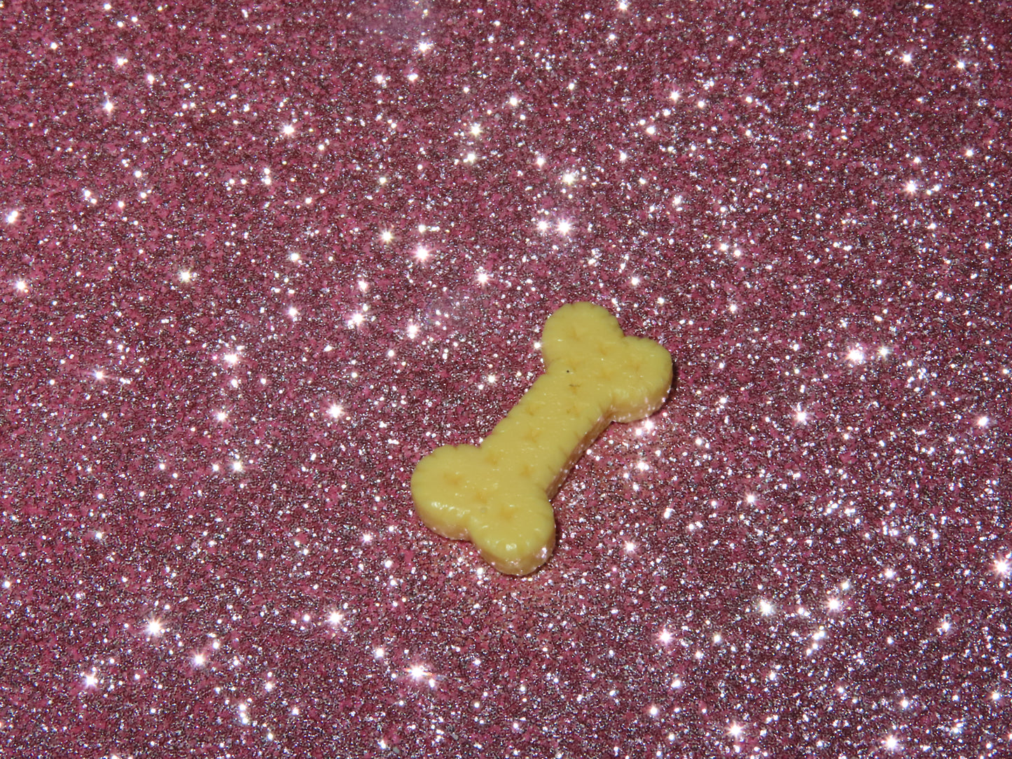 BONE BISCUIT