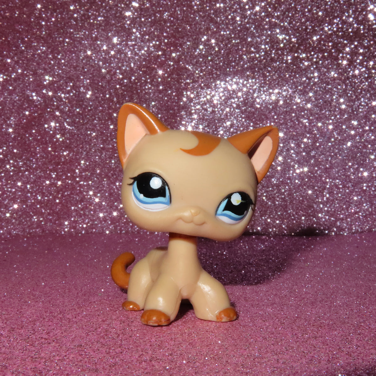 AUTHENTIC LPS SHORTHAIR CAT