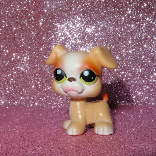 ✨YOU PICK✨ Magic Motion pets
