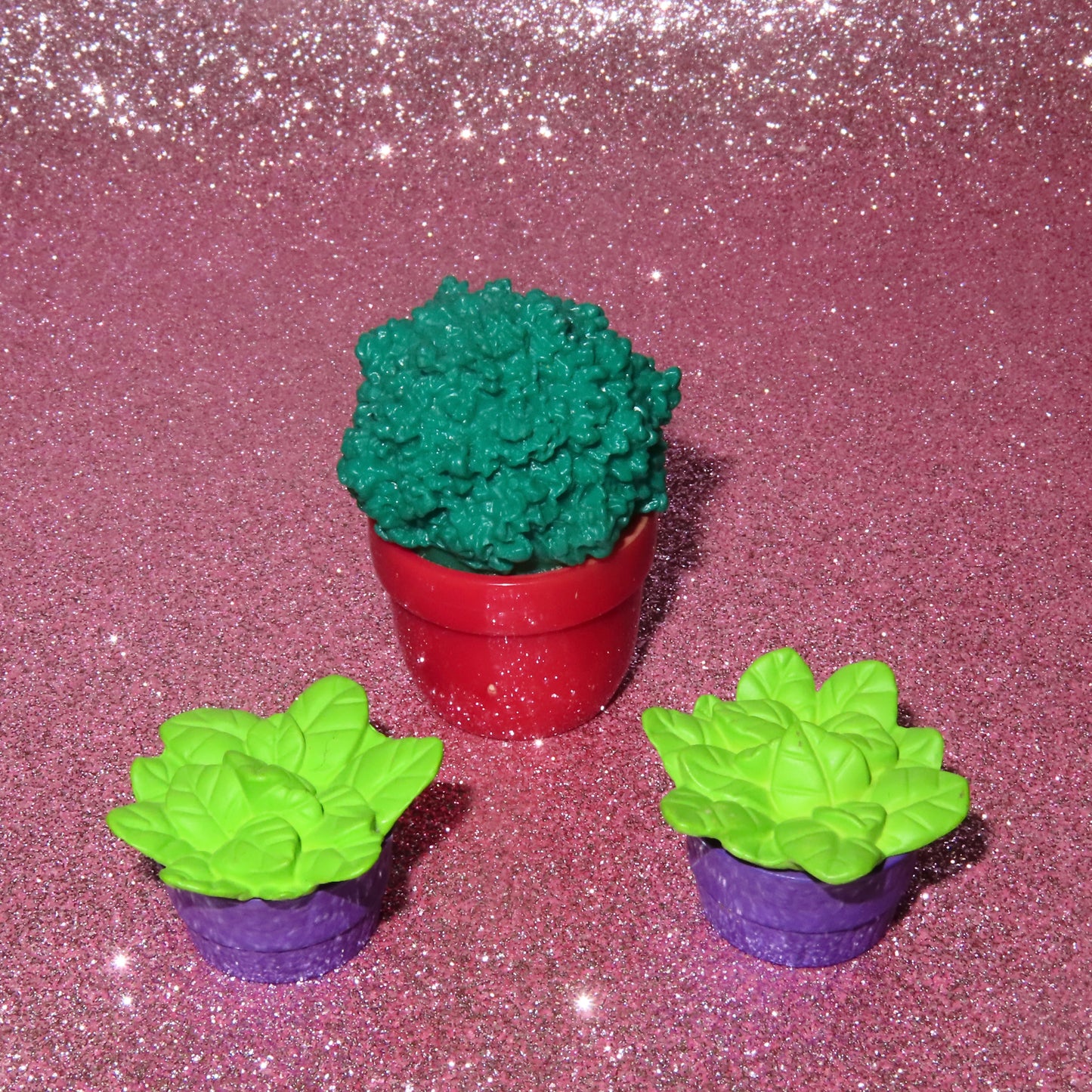 PLANT BUNDLE