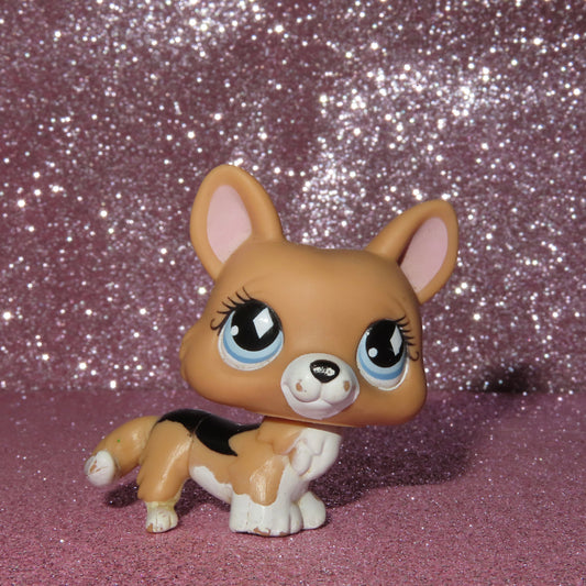 AUTHENTIC LPS CORGI