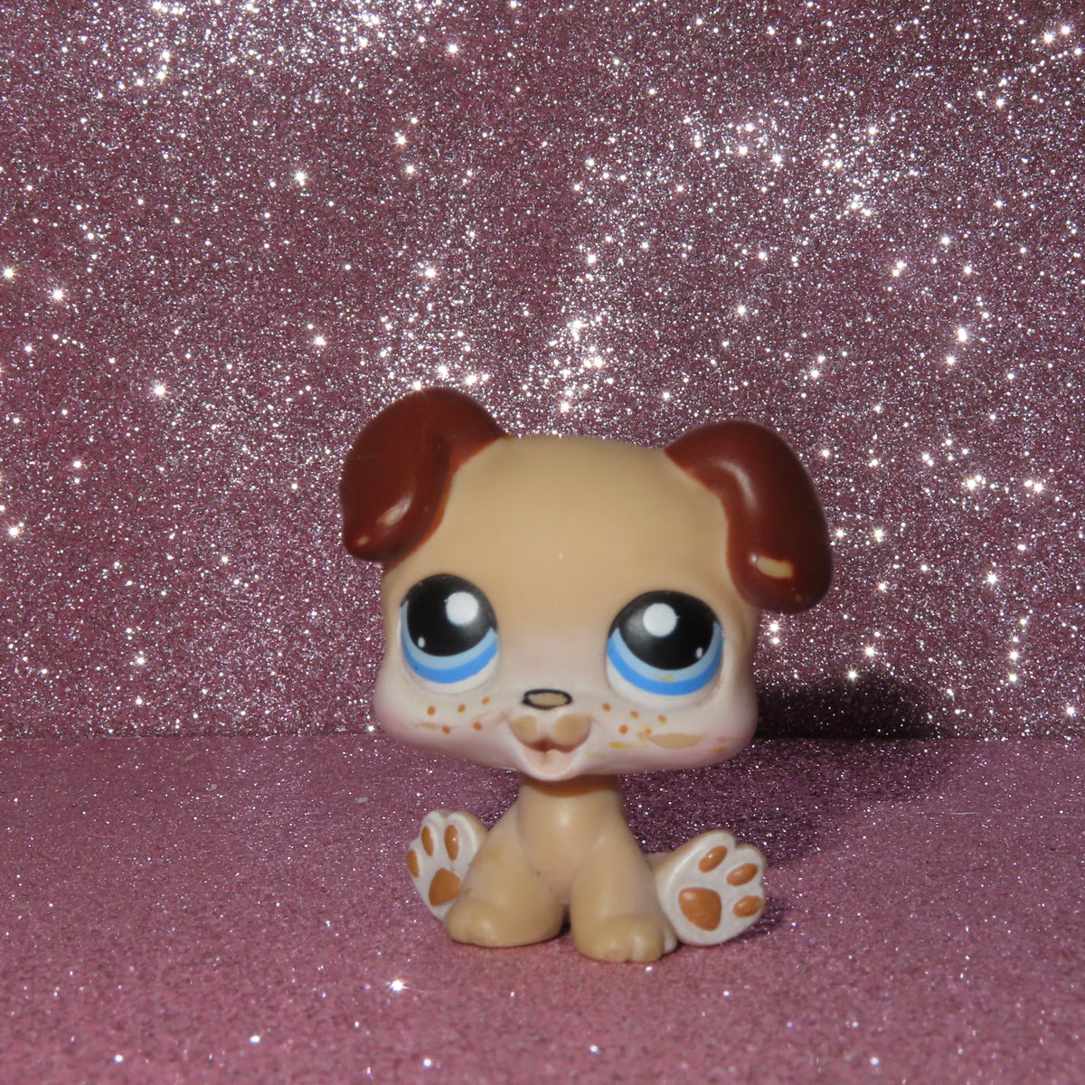 AUTHENTIC LPS BOXER PUPPY