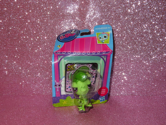 VINNIE NIB
