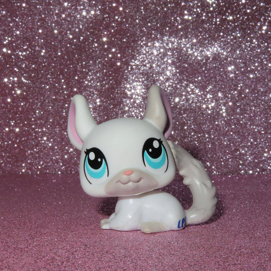 AUTHENTIC LPS CHINCHILLA