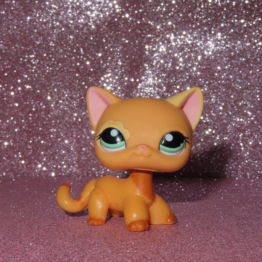 AUTHENTIC LPS SHORTHAIR CAT