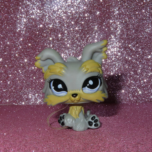 AUTHENTIC LPS YORKIE