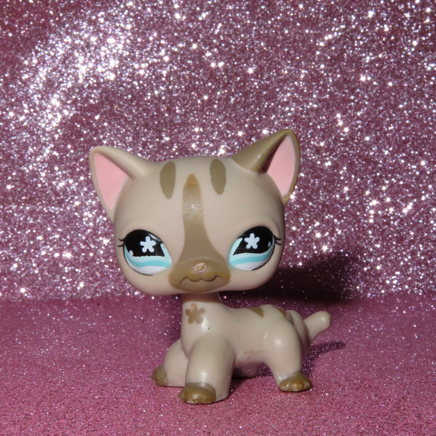 AUTHENTIC LPS SHORTHAIR