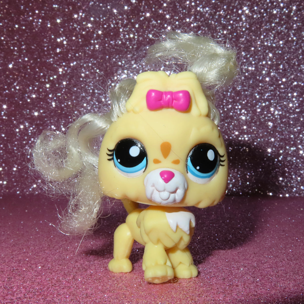 AUTHENTIC LPS LHASA APSO