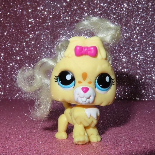 AUTHENTIC LPS LHASA APSO