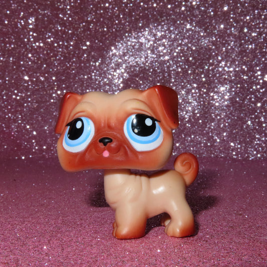 AUTHENTIC LPS PUG