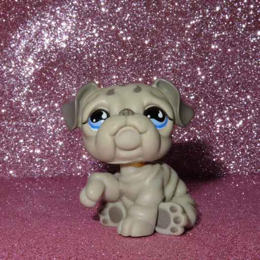 AUTHENTIC LPS BULLDOG