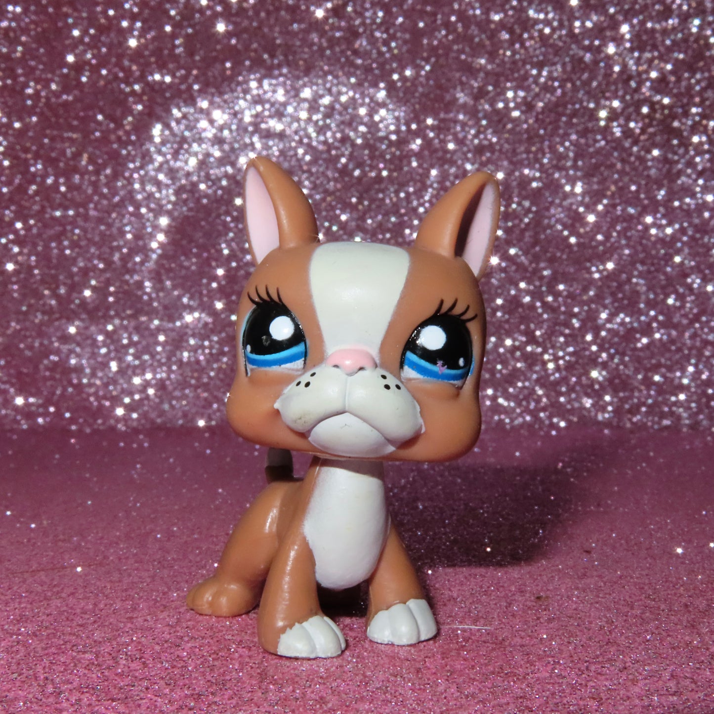 AUTHENTIC LPS BOSTON TERRIER