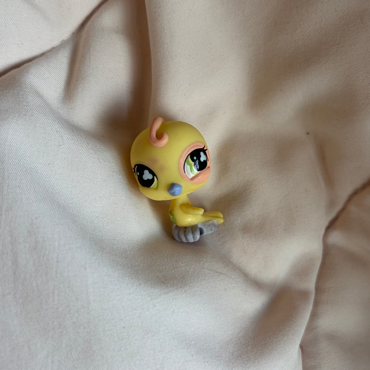 AUTHENTIC LPS PARAKEET