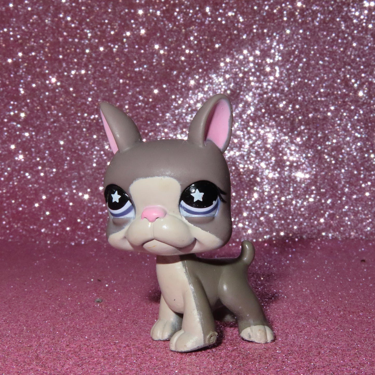 AUTHENTIC LPS BOSTON TERRIER