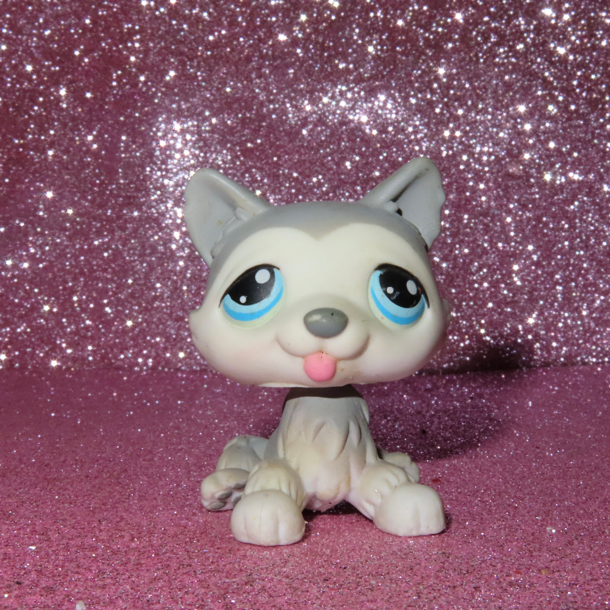 AUTHENTIC LPS HUSKY