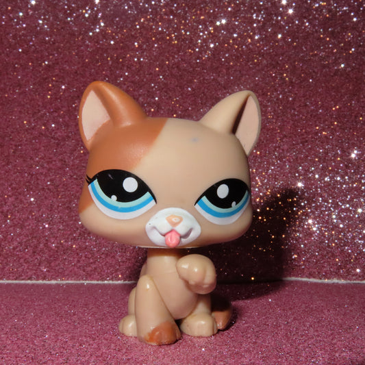 AUTHENTIC LPS PAW UP CAT