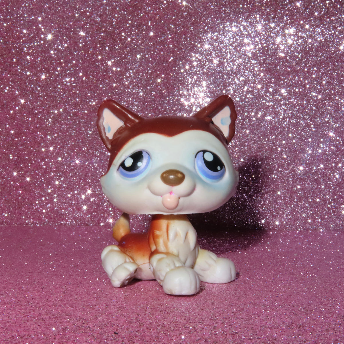 AUTHENTIC LPS BLEMISHED HUSKY