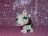 AUTHENTIC LPS BULL TERRIER