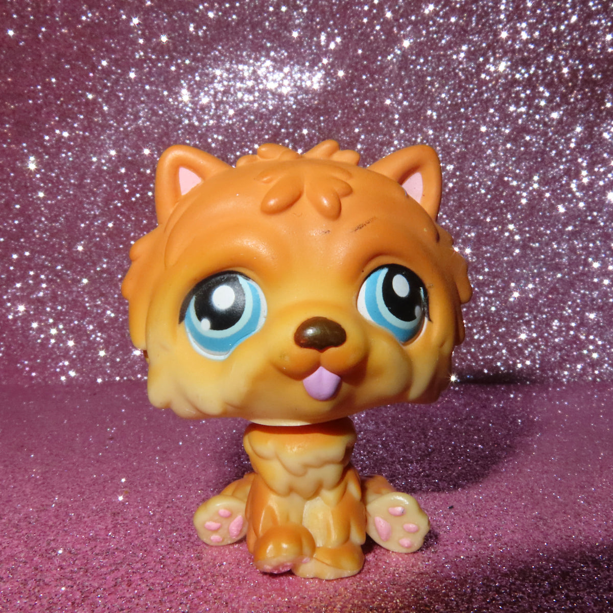 AUTHENTIC LPS CHOW CHOW