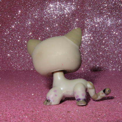 AUTHENTIC LPS BLEMISHED SHORTHAIR CAT