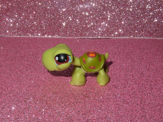 AUTHENTIC LPS TURTLE