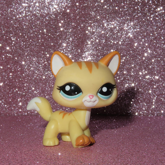 AUTHENTIC LPS CAT