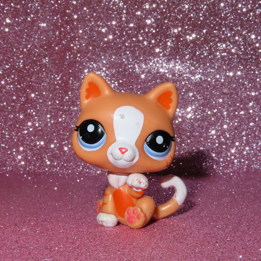 AUTHENTIC LPS PAW UP CAT