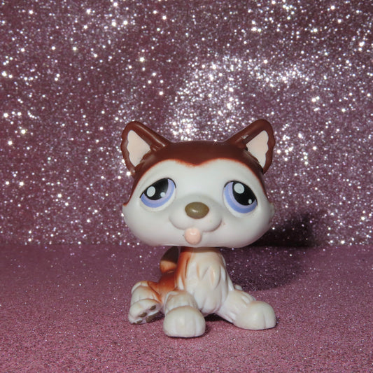 AUTHENTIC LPS HUSKY