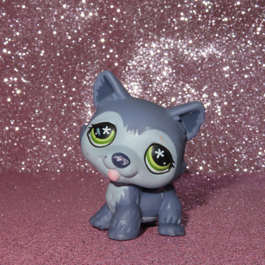 AUTHENTIC LPS HUSKY