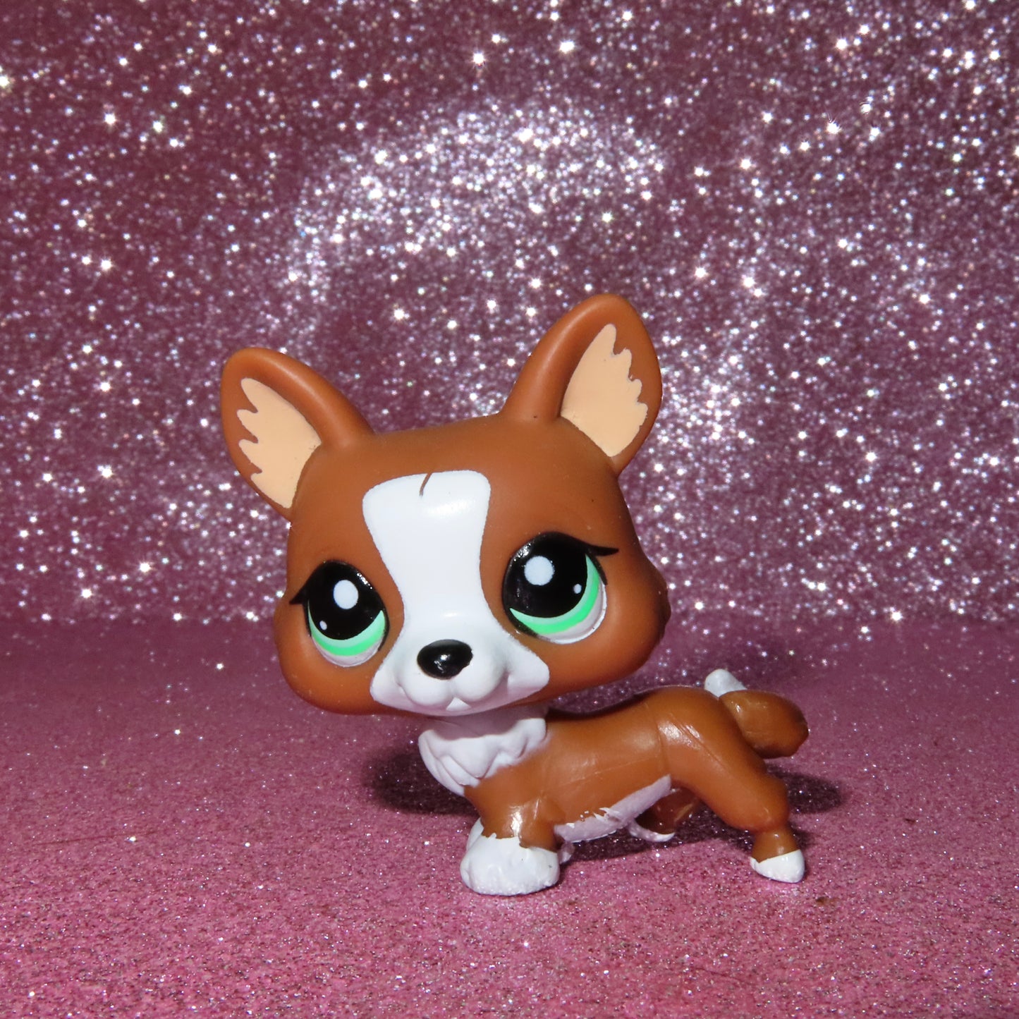 AUTHENTIC LPS CORGI