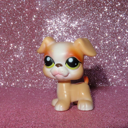✨YOU PICK✨ Magic Motion pets