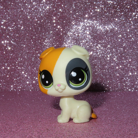 AUTHENTIC LPS CAT