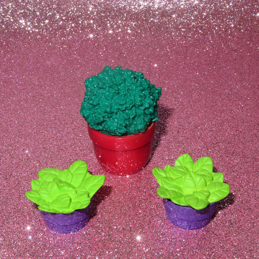 PLANT BUNDLE