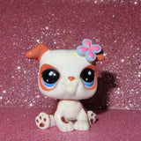 AUTHENTIC LPS BULLDOG