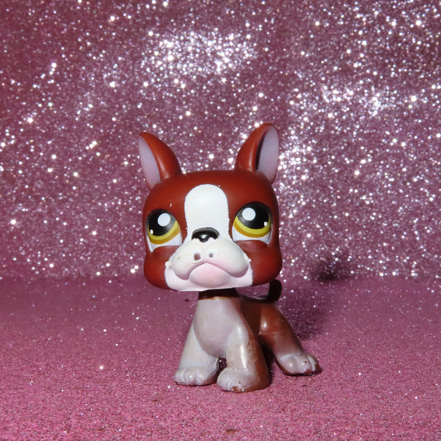 AUTHENTIC LPS BOSTON TERRIER