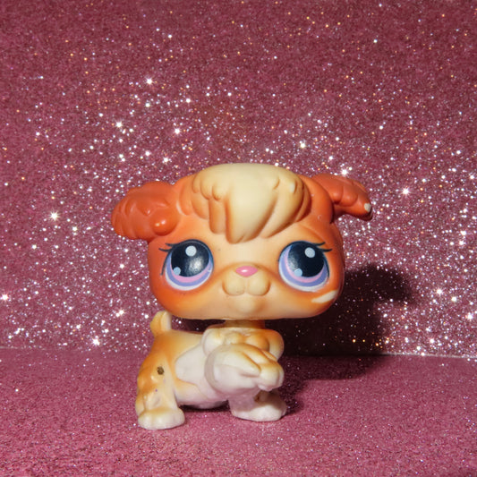 AUTHENTIC LPS POODLE