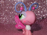 AUTHENTIC LPS BUTTERFLY