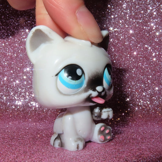 AUTHENTIC LPS CAT
