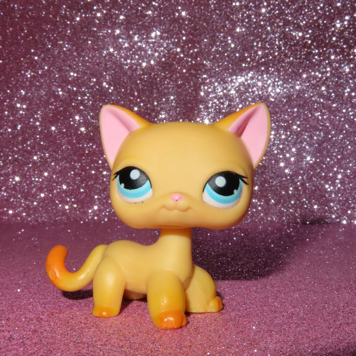 AUTHENTIC LPS SHORTHAIR CAT