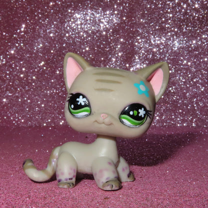 AUTHENTIC LPS BLEMISHED SHORTHAIR CAT