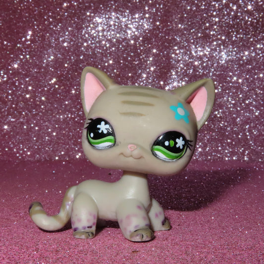 AUTHENTIC LPS BLEMISHED SHORTHAIR CAT