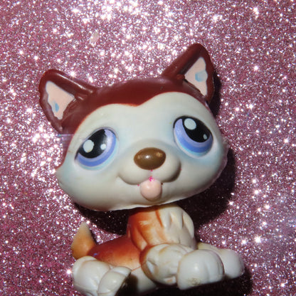 AUTHENTIC LPS BLEMISHED HUSKY