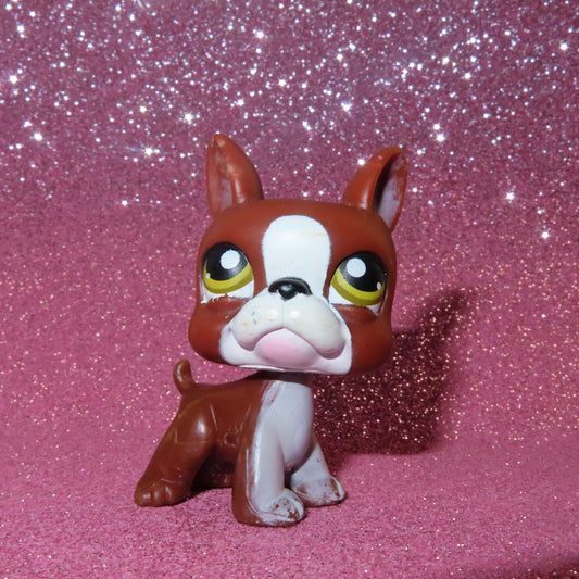 AUTHENTIC LPS BOSTON TERRIER